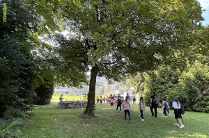 BENEFICI PIANTE - &ldquo;Terapia forestale&rdquo; rimedio per l&rsquo;asma