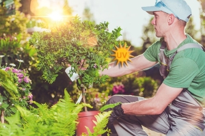 Scuola Agraria di Monza: Open Day on-line per il corso &ldquo;Giardiniere Professionista&rdquo;