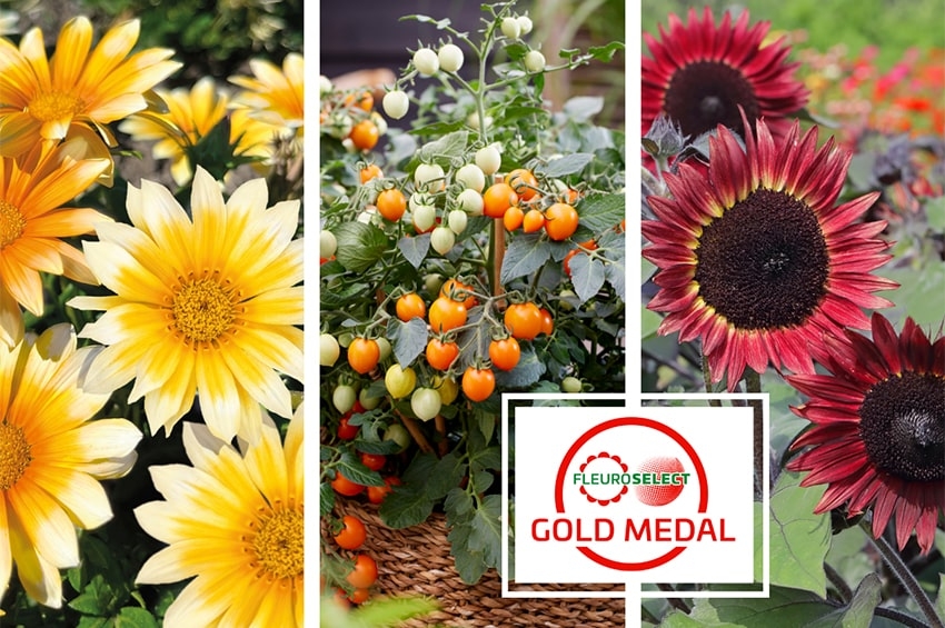 Fleuroselect annuncia le Medaglie d'Oro 2024