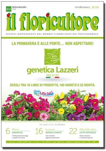 OTTOBRE-NOVEMBRE 2018