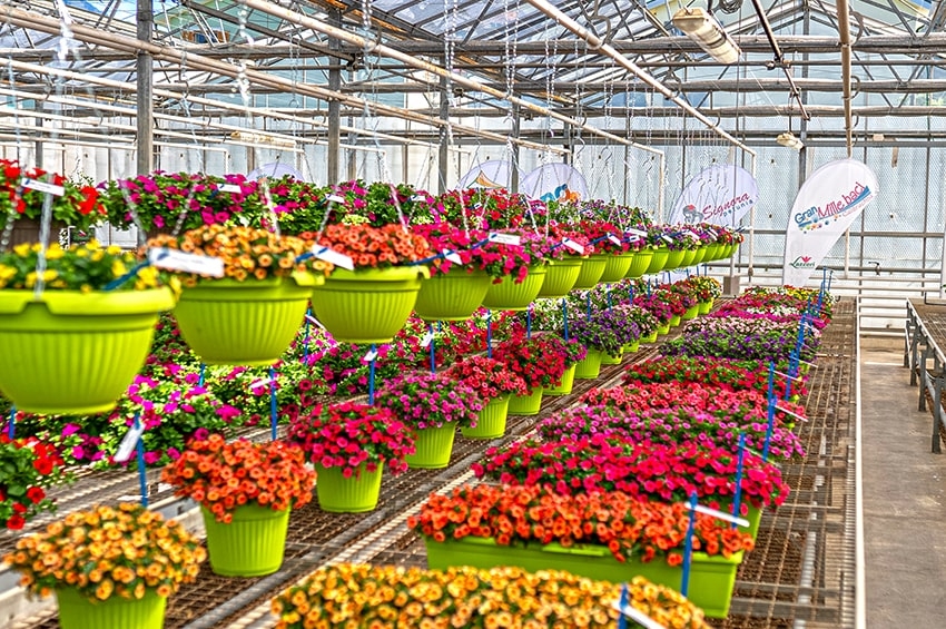 In 8 video tutta la Collezione Lazzeri Primavera-Estate 2022