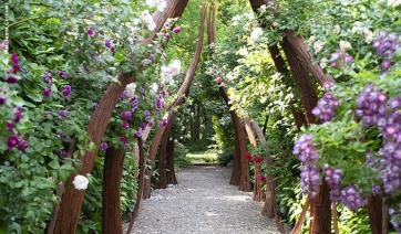Bologna: riaprono i giardini segreti