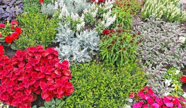 Comuni Fioriti 2019: la bella Usseaux attende i giudici di &ldquo;Communities in Bloom&rdquo;