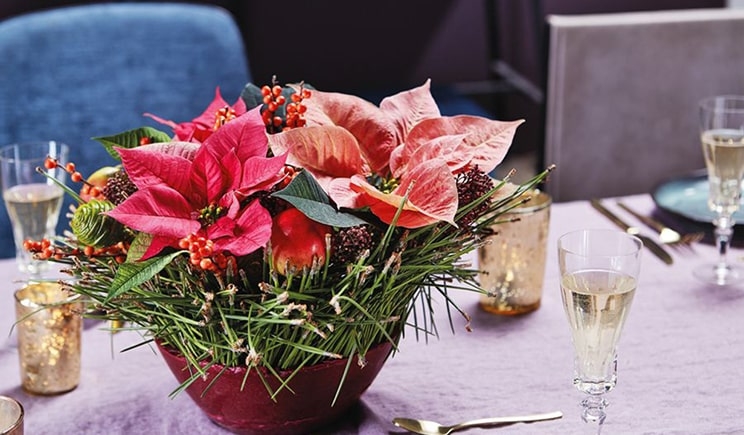 DECORAZIONI - Una Poinsettia per tutti i gusti: un vestito di cera
