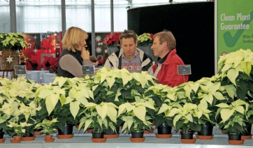 MagicStars 2016: a Latina si celebra la Poinsettia