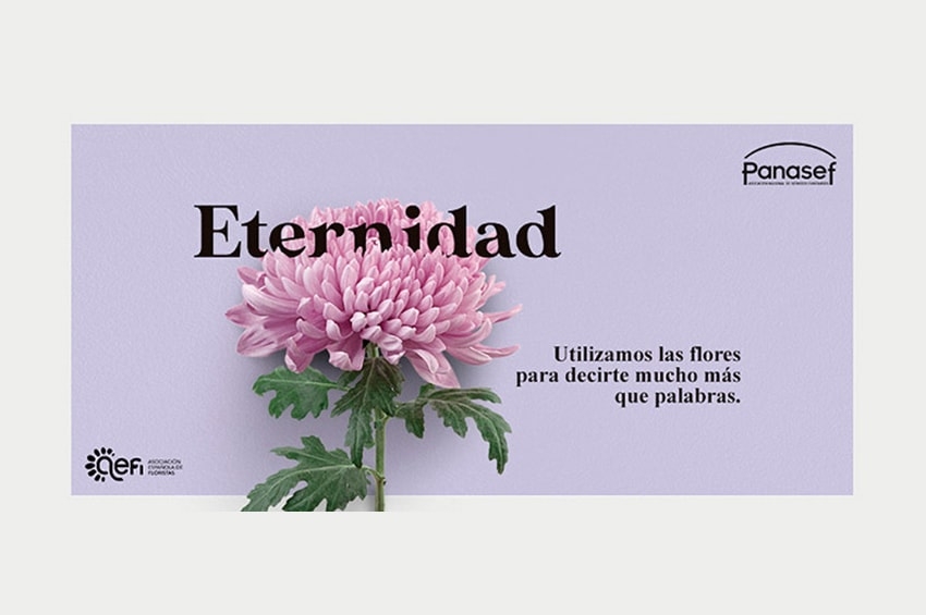 Ognissanti: tutte le emozioni nella voce silenziosa di piante e fiori