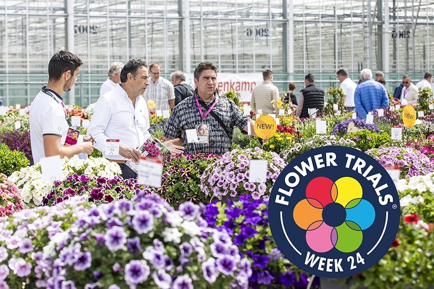 I FlowerTrials tornano dal 10 al 13 Giugno 2025