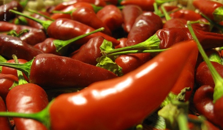 E…state piccanti: a Viareggio week-end all'insegna del Peperoncino