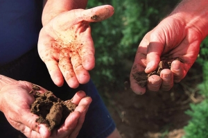 Terricci e dintorni al centro di un convegno organizzato dall&rsquo;Associazione dei florovivaisti trentini per il 3 Febbraio 2024