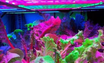 La coltivazione delle piante nello spazio, un futuro possibile e necessario