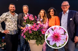 &Egrave; una Dahlia di Florensis la pianta con il fattore wow del Premio Fleurostar 2024