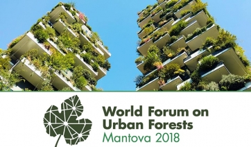 Forum Mondiale sulle Foreste Urbane: saranno le piante il business del futuro?