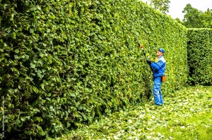 Italia, la riscoperta degli spazi verdi traina  il mercato delle macchine per il gardening