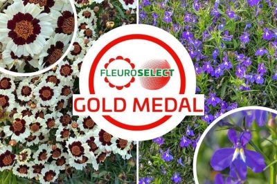 Innovative, belle e performanti: ecco le Medaglie d’Oro 2025 di Fleuroselect