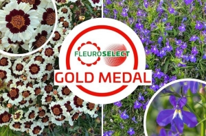 Innovative, belle e performanti: ecco le Medaglie d&rsquo;Oro 2025 di Fleuroselect