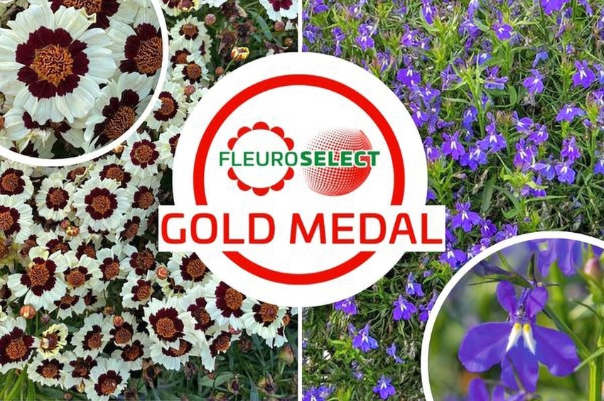 Innovative, belle e performanti: ecco le Medaglie d’Oro 2025 di Fleuroselect