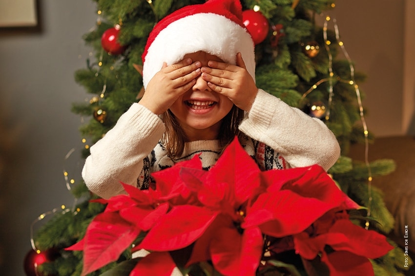 A Natale regalati bellezza, circondati di Stelle!!!!