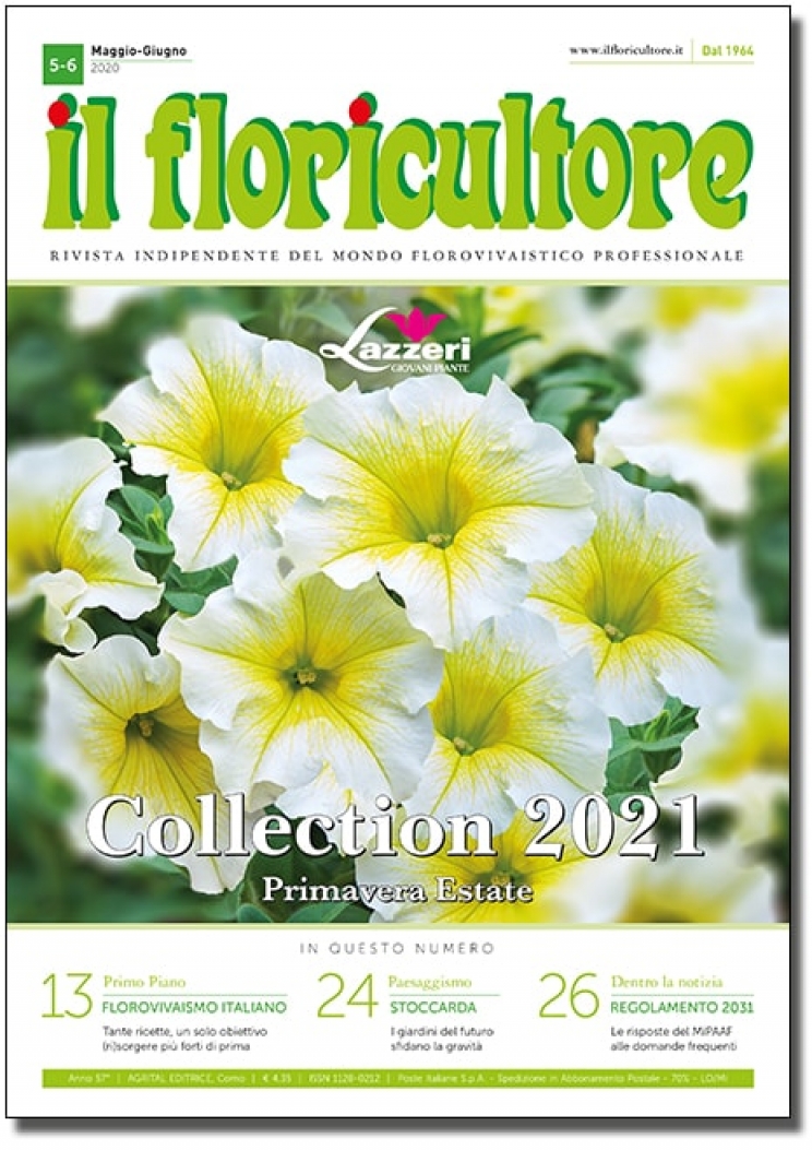 MAGGIO-GIUGNO 2020