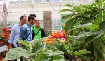 Agrotecnici: indetta la sessione 2019 degli esami abilitanti alla professione