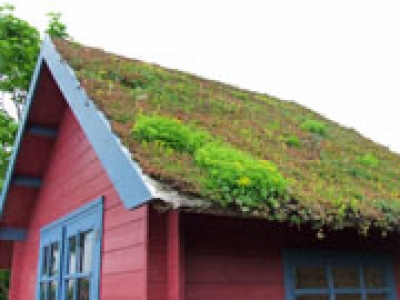 Convegno &ldquo;Le coperture a verde: aspetti innovativi e realizzazioni pratiche&rdquo;