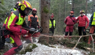 Lombardia: nuovo corso gratuito in tecniche forestali alla Fondazione Minoprio