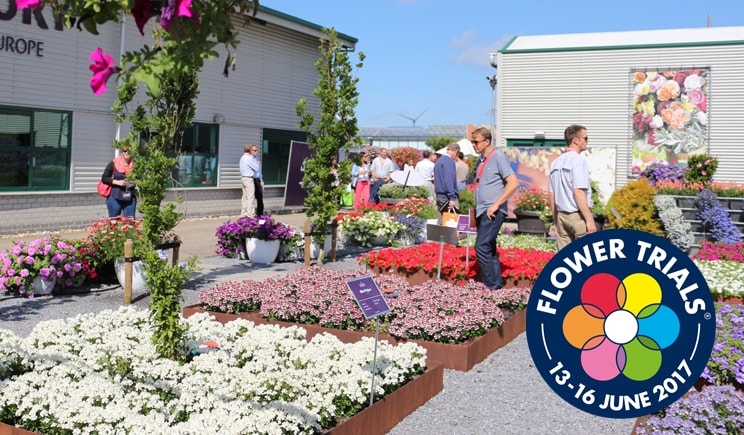 FLOWERTRIALS 2017