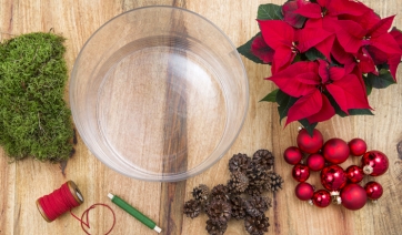 Stelle di Natale: vaso ROSSO CHIC in tre semplici mosse