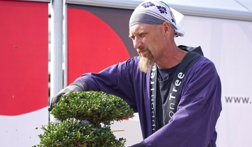 Porte Aperte Nippon Tree: alla scoperta dei macrobonsai Made in Brianza