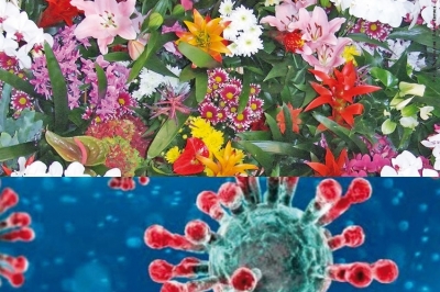 Coronavirus, appello a Conte: &laquo;Per il florovivaismo urgono 800 milioni di Euro per ripartire&raquo;