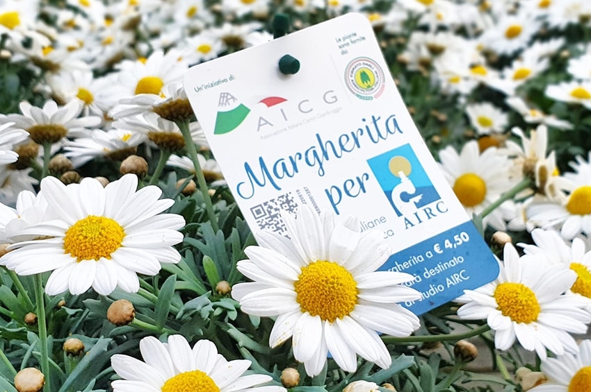 Dal 6 Marzo al 25 Aprile 2020 torna la MARGHERITA SOLIDALE