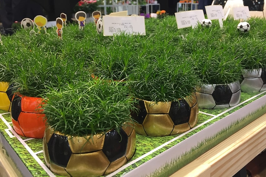 Myplant sigla partnership con Federcalcio Servizi