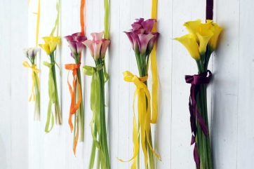 CALLE COLORATE ecosostenibili ed eleganti