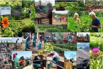 "Ortoterapia: sinergie tra riabilitazione, welfare e agricoltura" Convegno della Scuola Agraria di Monza il 22 gennaio a Milano