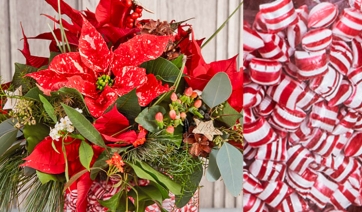 Dolci &amp; Poinsettie per i pi&ugrave; piccini e... per i clienti pi&ugrave; golosi!