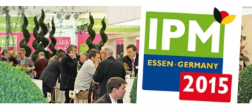 IPM Essen dice “33” e scoppia di salute