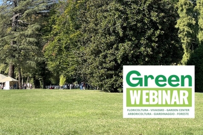 FORMAZIONE - Alberi e tappeto erboso, strategie di convivenza: appuntamento con un nuovo GreenWebinar