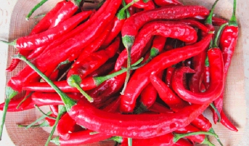 Capsicum, che pianta!