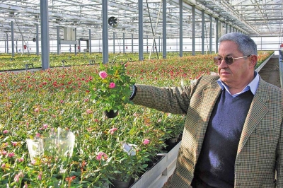 NOTE PERSONALI - Lutto per la floricoltura calabrese, si &egrave; spento Renato Papaianni