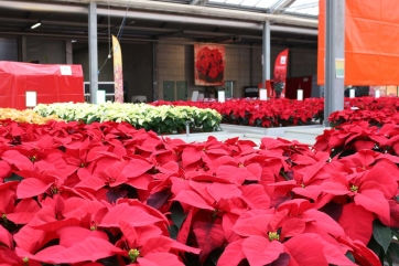 PORTE APERTE AUTUNNALI PSENNER E PLANTA 2015