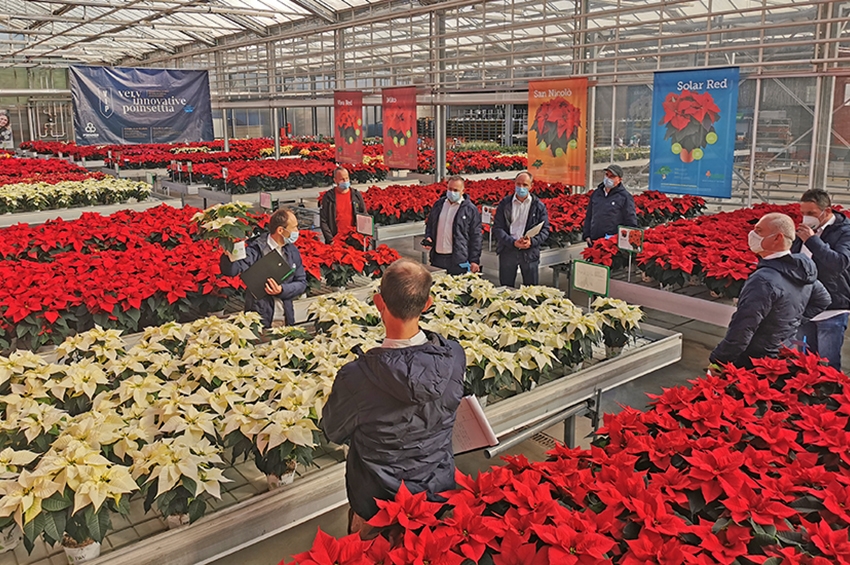 Psenner dà appuntamento il 25 Novembre per il Poinsettia Star Academy
