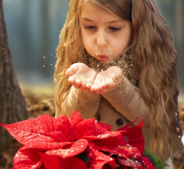 #BacioSottoLeStelle, a Milano sbocciano i selfie per il Poinsettia Day