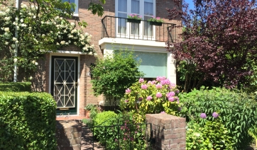 Nessun bonus fiscale per le opere verdi