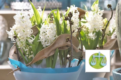 BILANCIA (23 Settembre - 22 Ottobre) - Lo zodiaco dei fiori da bulbo