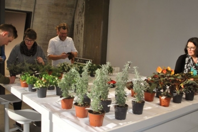 Piante sotto le lampade,  fragranze pi&ugrave; accese