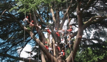 Corsi tree climbing e tecniche di rigging