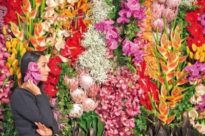 Al via oggi la 30ª edizione di IPM I nominati del premio “Colour Your Life” 2012