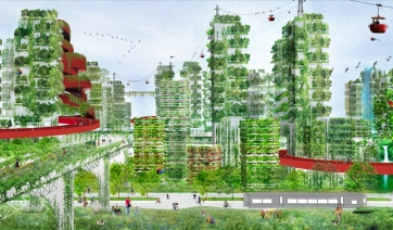 Forse &egrave; un bosco, s&igrave; &egrave; un bosco di 100 piani