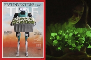 Una pianta come simbolo delle 200 migliori invenzioni del 2024