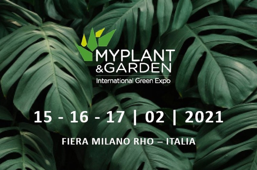 Anche Myplant si arrende: appuntamento rinviato al 2021