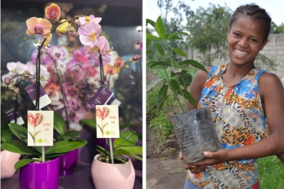 San Valentino 2024: in provincia di Bolzano &egrave; verde, solidale e sostenibile